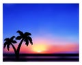 Sunrise or sunset. Tropical abstract landscape, silhouettes of palm trees. Vector illustration. Royalty Free Stock Photo